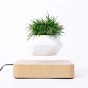 Levitant Pot de Fleurs 3