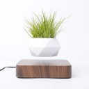 Levitant Pot de Fleurs 4