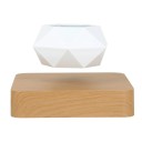 Levitating Flowerpot 4