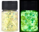 Lichtgevende glitter voor epoxyhars Pigmenten voor gloed in het donker Metallic kleuren UV-effecten Neon kleuren voor vullingen 10