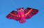 Lietajúci drak - sova 110 cm vo viacerých farbách 5