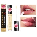 Lip Plumping Gloss 2