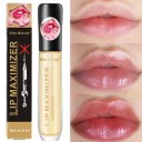 Lipgloss med forstørrelseseffekt 2