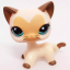 Littlest Pet Shop Kinder-Sammelfiguren 12