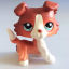 Littlest Pet Shop Kinder-Sammelfiguren 21