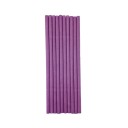 Lollystokjes 10 stuks 9