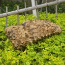 Lona de Camuflagem H1047 1