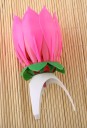 Lotus musical 4