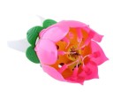 Lotus musical 6