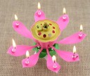 Lotus musical 7