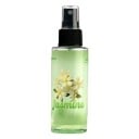 Luchtverfrisser voor auto spray langdurige parfum 100 ml interieurverfrisser voor voertuigen frisse aroma spray voor auto 8