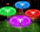 Lumière de jardin feu d'artifice multicolore 2