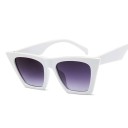 Lunettes de soleil carrées pour femmes E1247 5