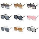 Lunettes de soleil carrées pour femmes E1248 2