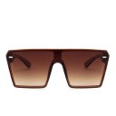 Lunettes de soleil carrées pour femmes E1264 9