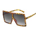 Lunettes de soleil carrées pour femmes E1266 17