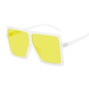 Lunettes de soleil carrées pour femmes E1266 27