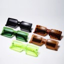 Lunettes de soleil carrées pour femmes E1303 4