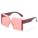 Lunettes de soleil carrées pour femmes E1405 5