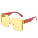 Lunettes de soleil carrées pour femmes E1405 8