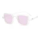 Lunettes de soleil E2131 9
