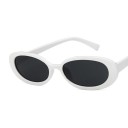 Lunettes de soleil pour femmes B617 3