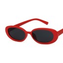 Lunettes de soleil pour femmes B617 6