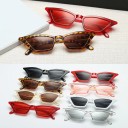 Lunettes de soleil pour femmes cat eye 1