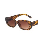 Lunettes de soleil pour femmes E1241 5