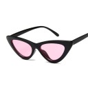 Lunettes de soleil pour femmes E1252 7