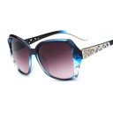 Lunettes de soleil pour femmes E1253 5
