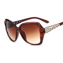 Lunettes de soleil pour femmes E1253 6