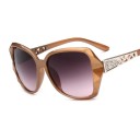 Lunettes de soleil pour femmes E1253 8