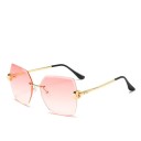 Lunettes de soleil pour femmes E1257 27