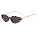 Lunettes de soleil pour femmes E1260 7