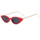 Lunettes de soleil pour femmes E1260 11