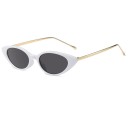Lunettes de soleil pour femmes E1260 12