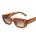 Lunettes de soleil pour femmes E1277 13