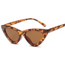 Lunettes de soleil pour femmes E1278 2
