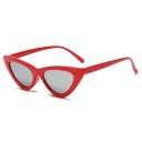 Lunettes de soleil pour femmes E1278 5