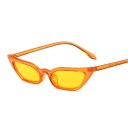 Lunettes de soleil pour femmes E1313 3