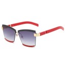 Lunettes de soleil pour femmes E1314 6