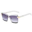 Lunettes de soleil pour femmes E1314 9