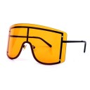 Lunettes de soleil pour femmes E1328 5