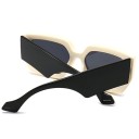 Lunettes de soleil pour femmes E1336 4
