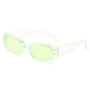 Lunettes de soleil pour femmes E1356 9