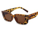 Lunettes de soleil pour femmes E1365 5