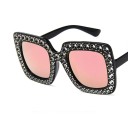 Lunettes de soleil pour femmes E1379 5