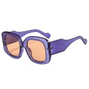 Lunettes de soleil pour femmes E1387 11