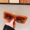 Lunettes de soleil pour femmes E1404 6